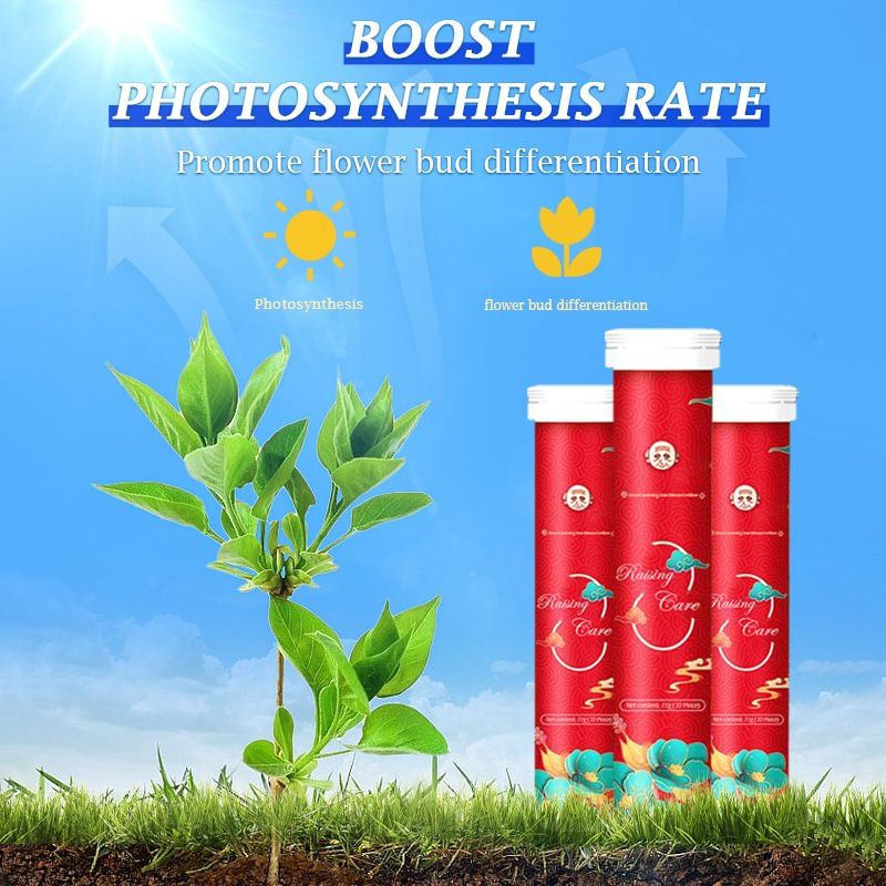VegiBloom™ Natuurlijke Tabletten Voor Plantenteelt
